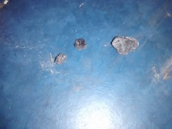IMG_20171209_081833.jpg