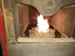IMG_20190220_064423.jpg