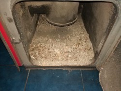 IMG_20190220_064516.jpg